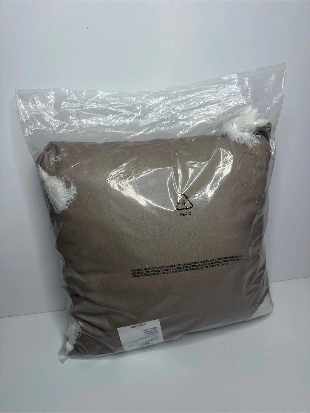 Disney Winter Wonderland pillow